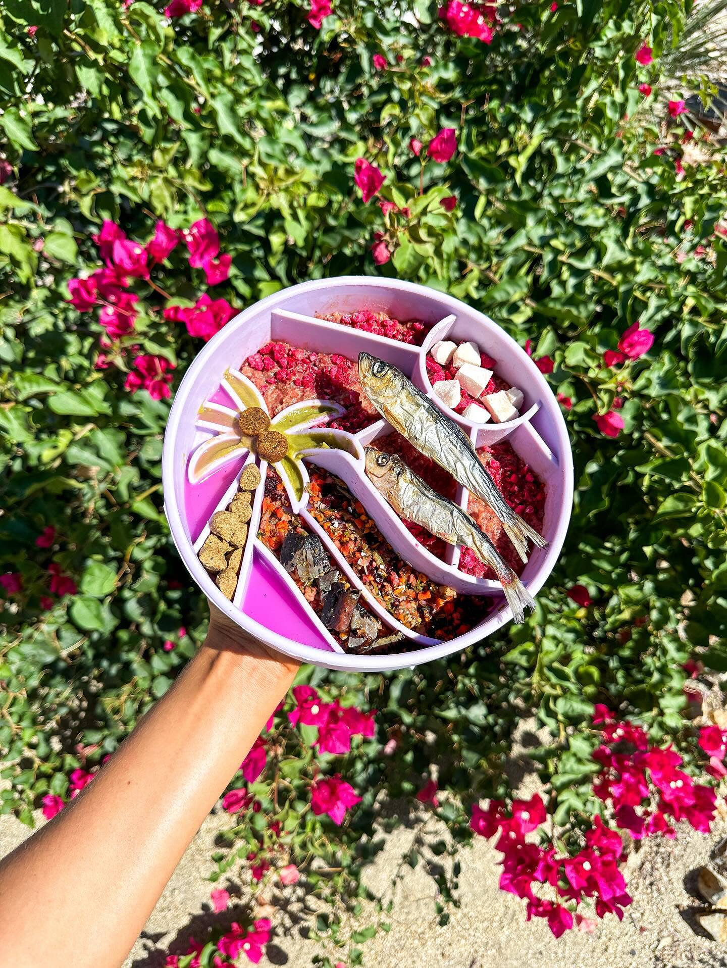 Interactive Slow Feeder Bowl